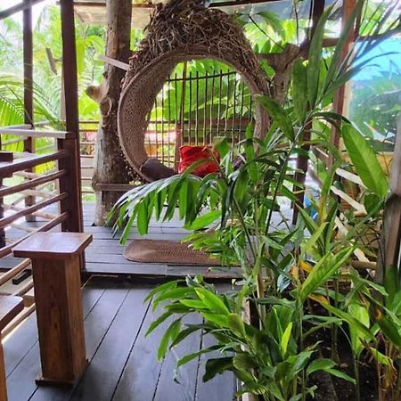 Hotel Cabana Guainiana 伊尼里达 外观 照片